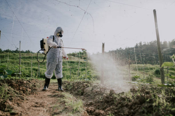 Best Mosquito Control Services  in Tenafly, NJ