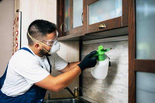 Best Pest Control Near Me  in Tenafly, NJ