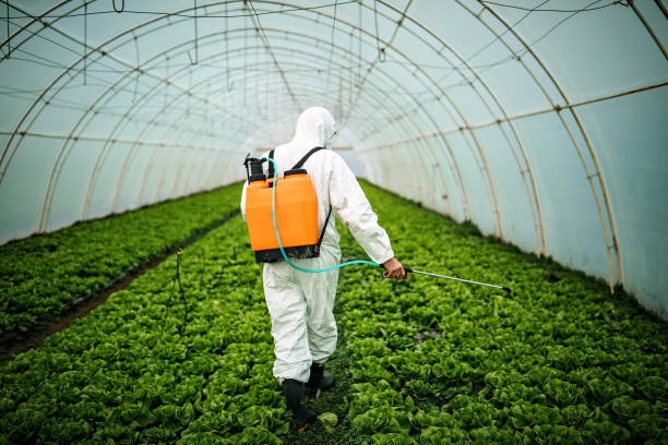Best Local Pest Control Services  in Tenafly, NJ