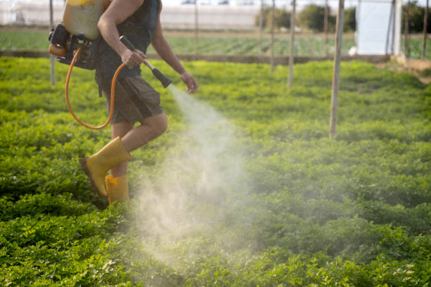 Best Wasp Removal Services  in Tenafly, NJ