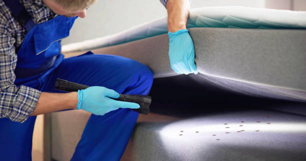 Best Termite Control Services  in Tenafly, NJ